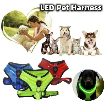USB Rechargeable LED Dog Harness