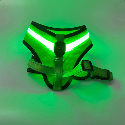 USB Rechargeable LED Dog Harness