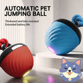 Smart Interactive Dog Ball Toy