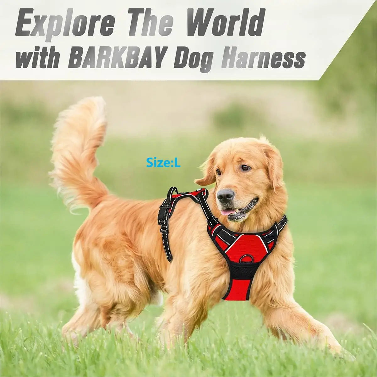 No-Pull Dog Harness with Control Handle