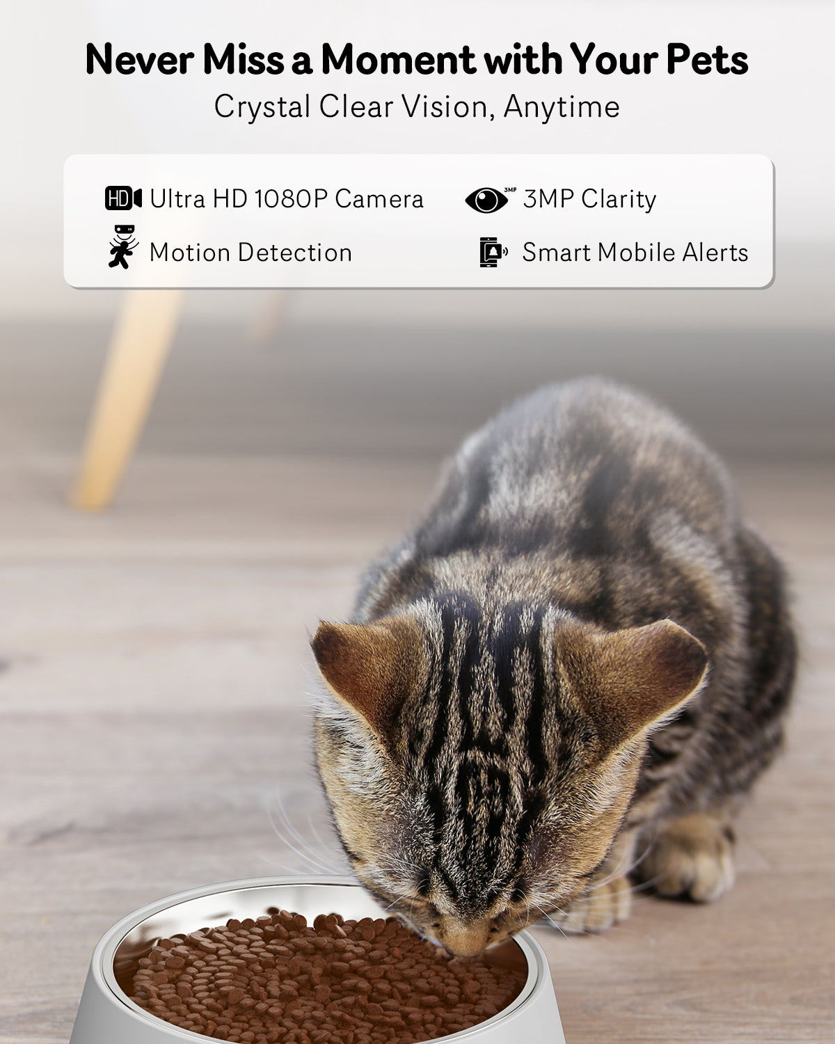 Smart Pet Feeder with Camera – App Control & HD Monitoring
