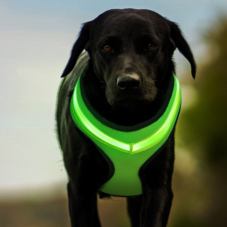 USB Rechargeable LED Dog Harness