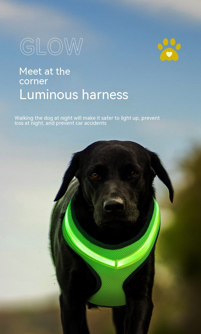 USB Rechargeable LED Dog Harness