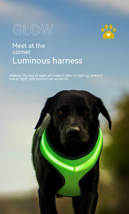 USB Rechargeable LED Dog Harness