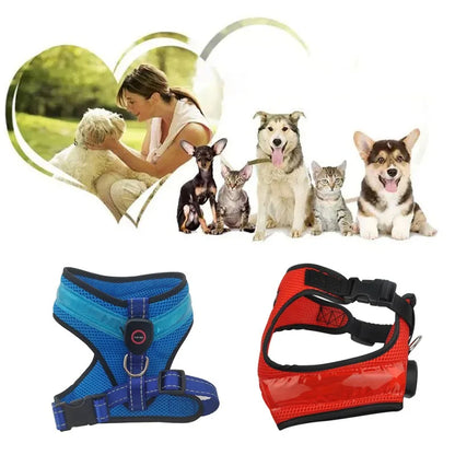 USB Rechargeable LED Dog Harness