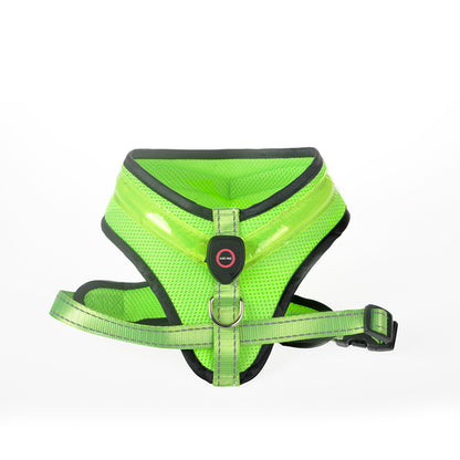 USB Rechargeable LED Dog Harness