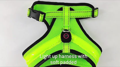 USB Rechargeable LED Dog Harness
