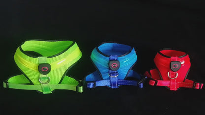USB Rechargeable LED Dog Harness